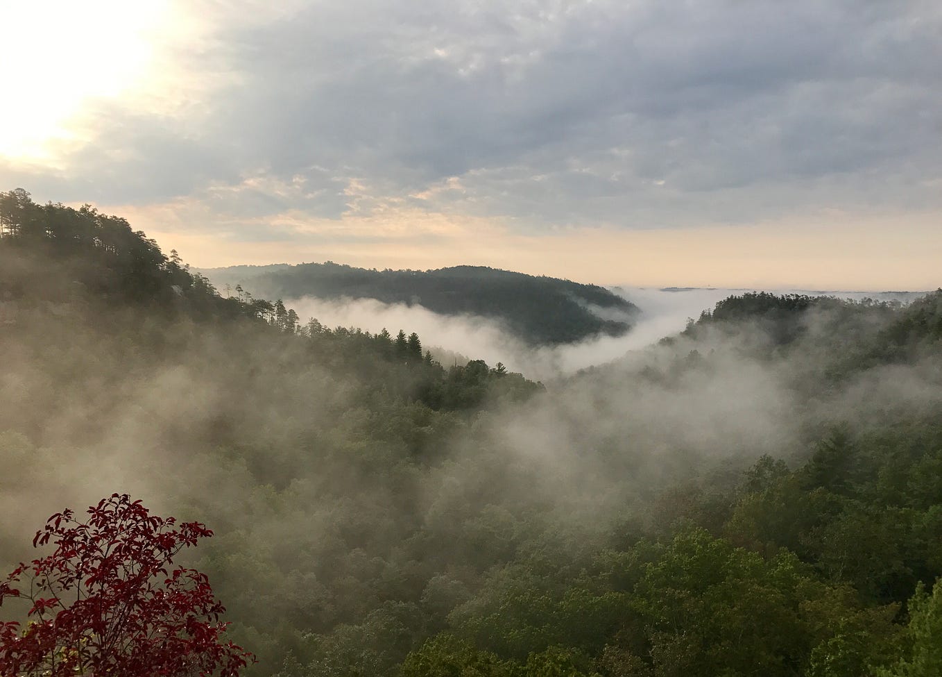 Perspective. The concrete of the sidewalk runs… by Harvey Quast Medium