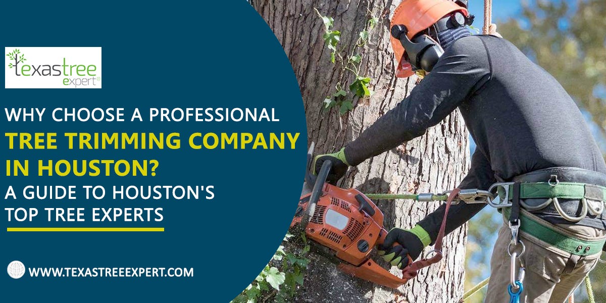 The Importance of Professional Tree Trimming Services by Texas Tree