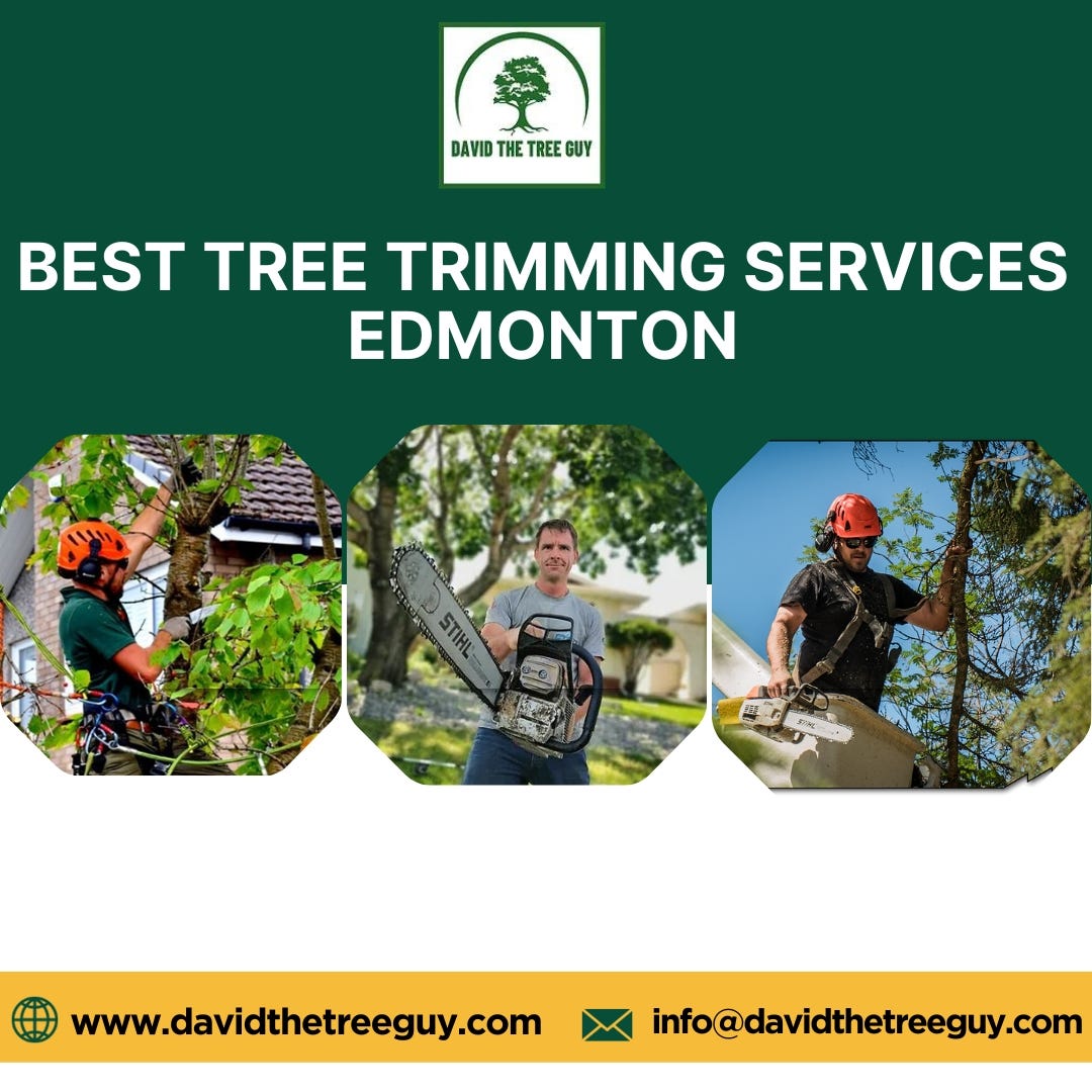 Best Tree Trimming Services Edmonton David The Tree Guy Medium