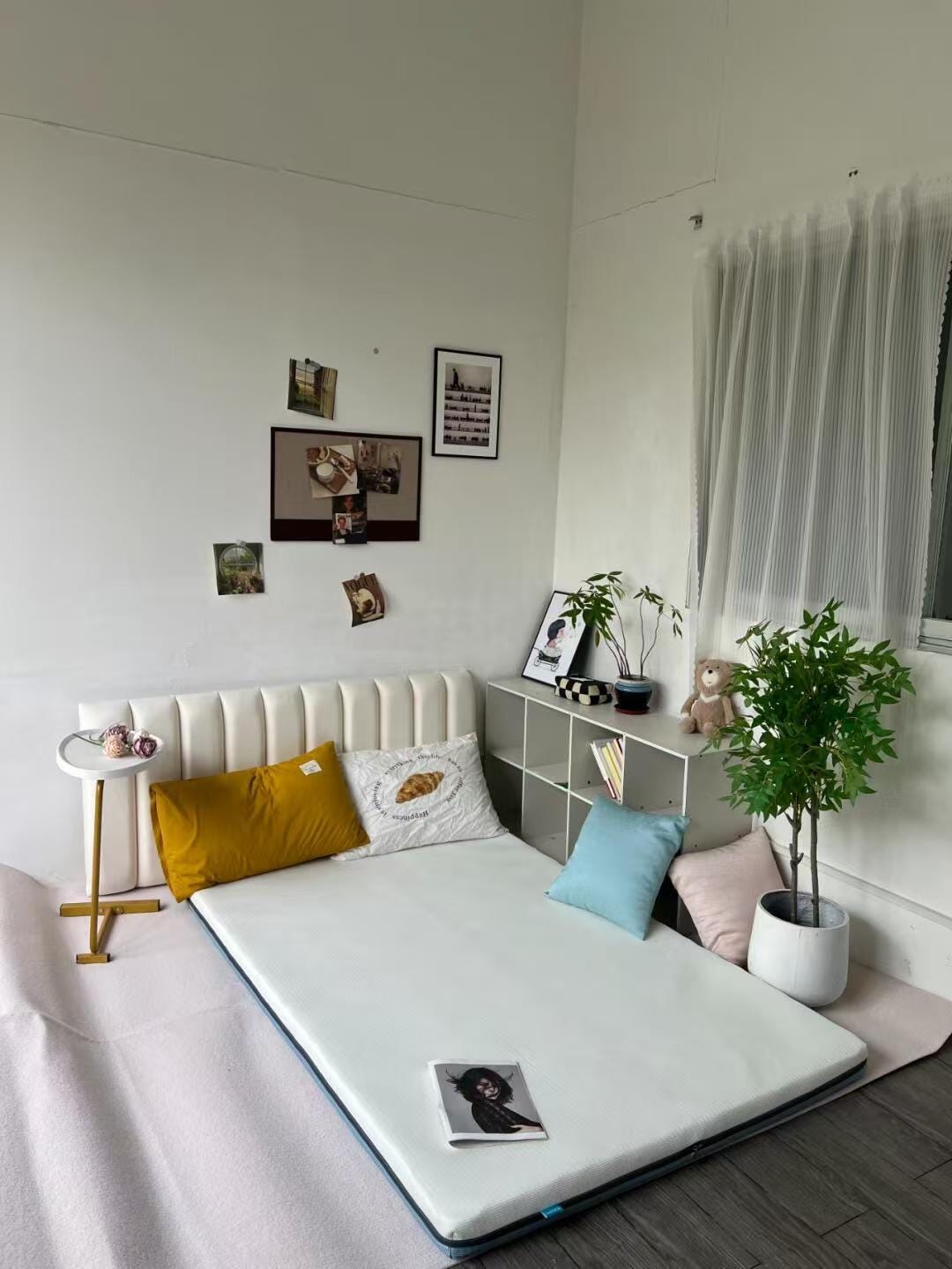 Circular Economy Creating a “New” Mattress with Ivytress by