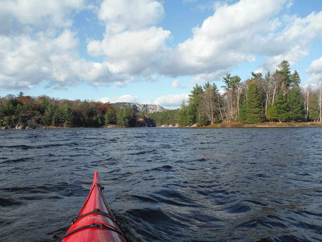 Modern cannibals of the wild. MYTH MADE REAL BY BASIL H. JOHNSTON by Erik Schomann Medium