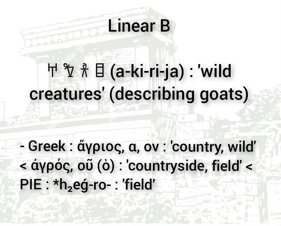 Linear B 𐀀 𐀒 𐀫 = (akoro) 'field' Greek ἀγρός, οῦ (ὁ) ' field'