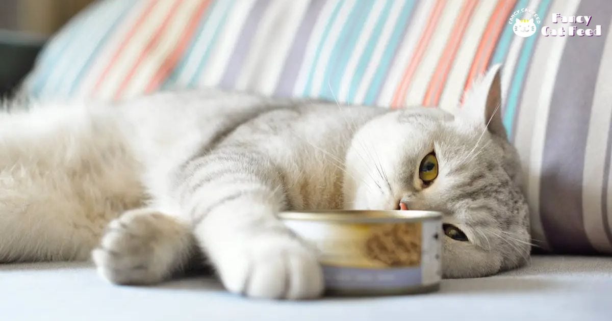 Why Is My Cats Pee Foamy?. Foamy cat pee may indicate issues like… by