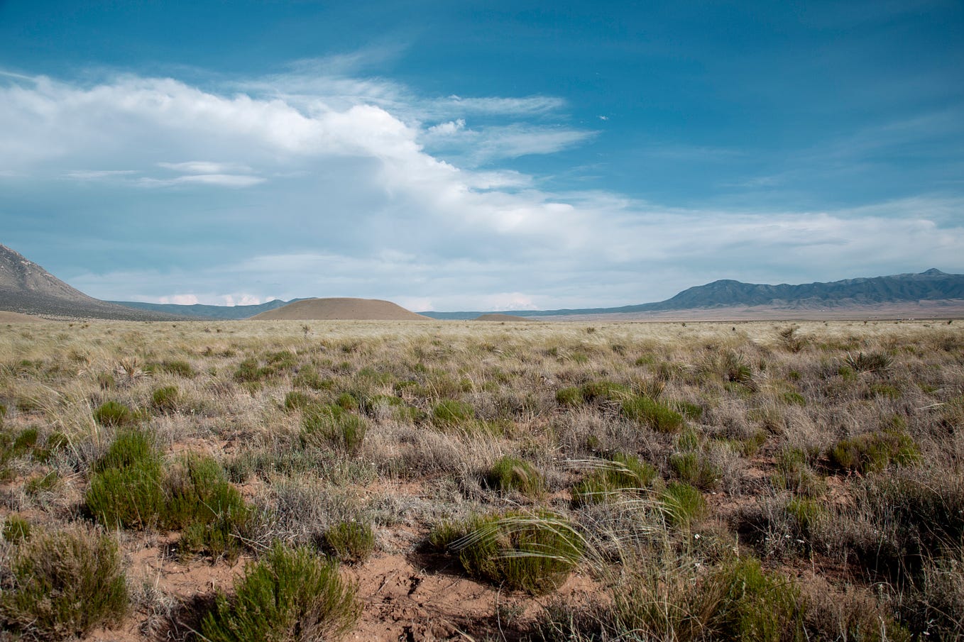 The Essence of Being Alive A Theory of Alignment with Desire by