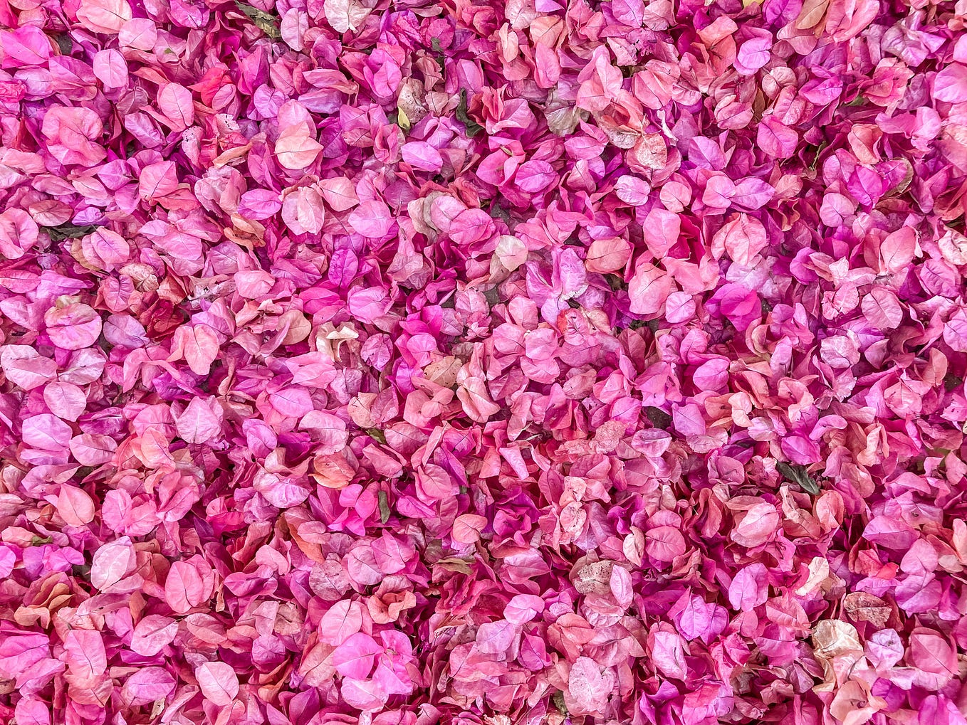 What a beautiful story and how early in life happened to you!! It's hard to find true love, but