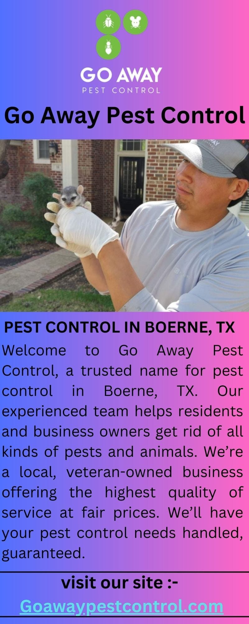 Effective Pest Control Solutions Goawaypestcontrol Medium