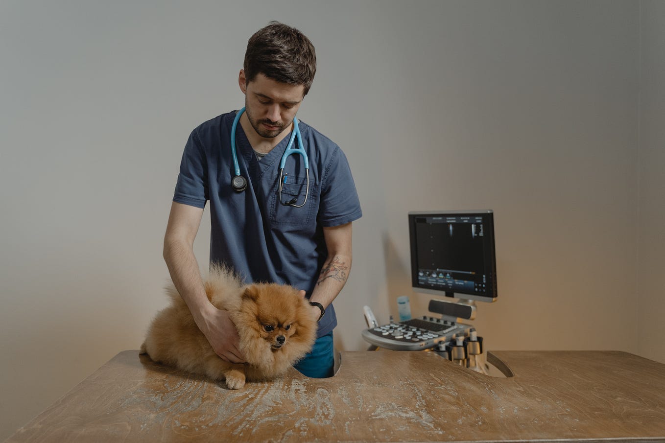 Why Do Vet Techs Make So Little? Exploring Underpaid Salaries and