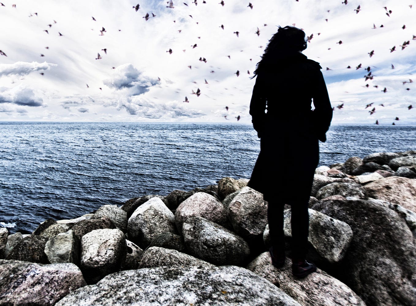 I love birdsong as does my cat Carlos but for entirely different