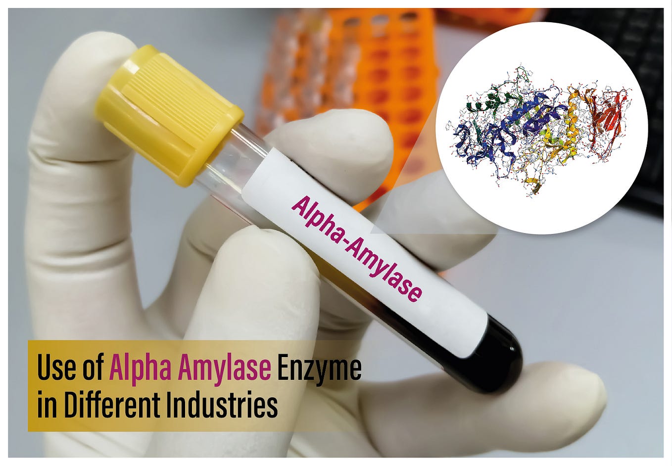 The Power of Lactase Enzyme Ultreze Enzymes Delivers Insights on Uses