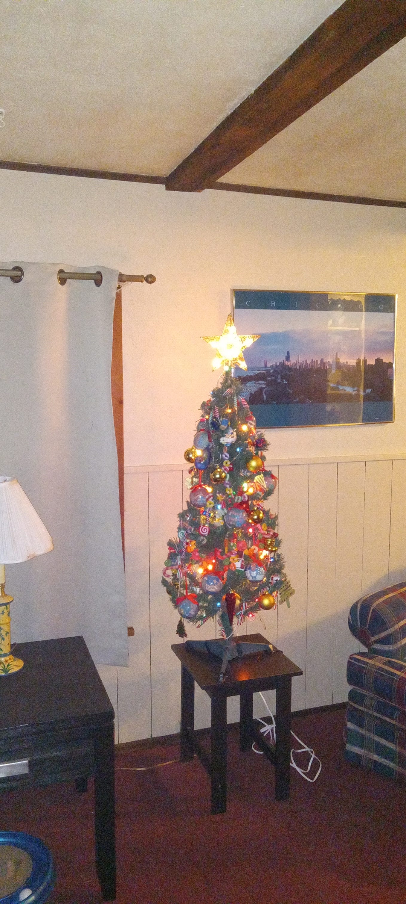 I've always felt I was meant to write and have been writing a diary for