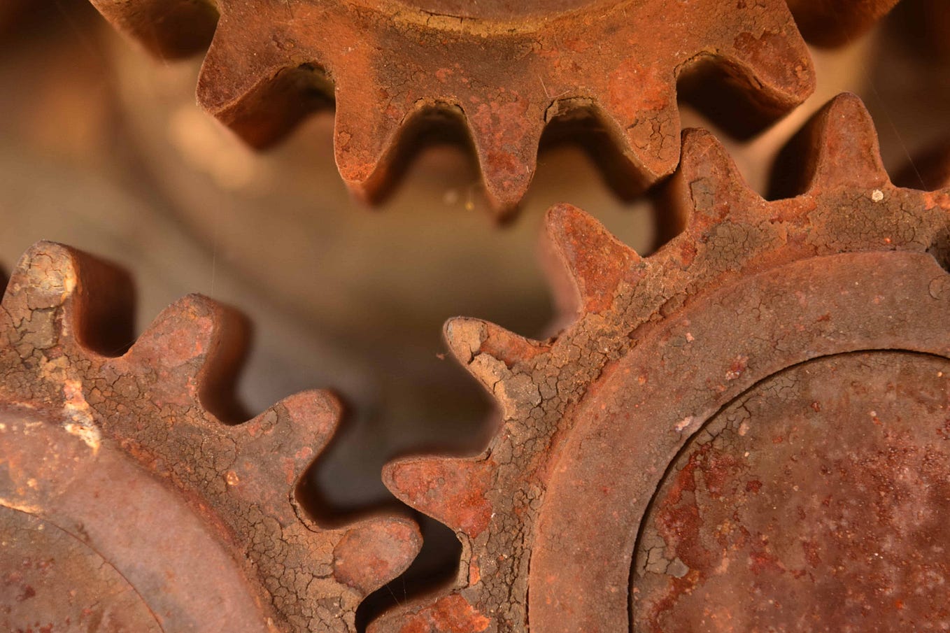 A Review of Cargo and Rustup. Part 1 of the Future of Cargo series