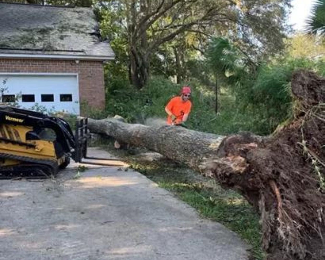 Tree Services Near Charleston, SC Absolute Trees Medium