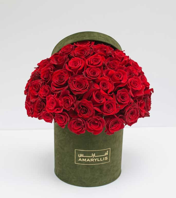 Blooming Beauty Amaryllis Flowers, the Best Flower Shop in Abu Dhabi