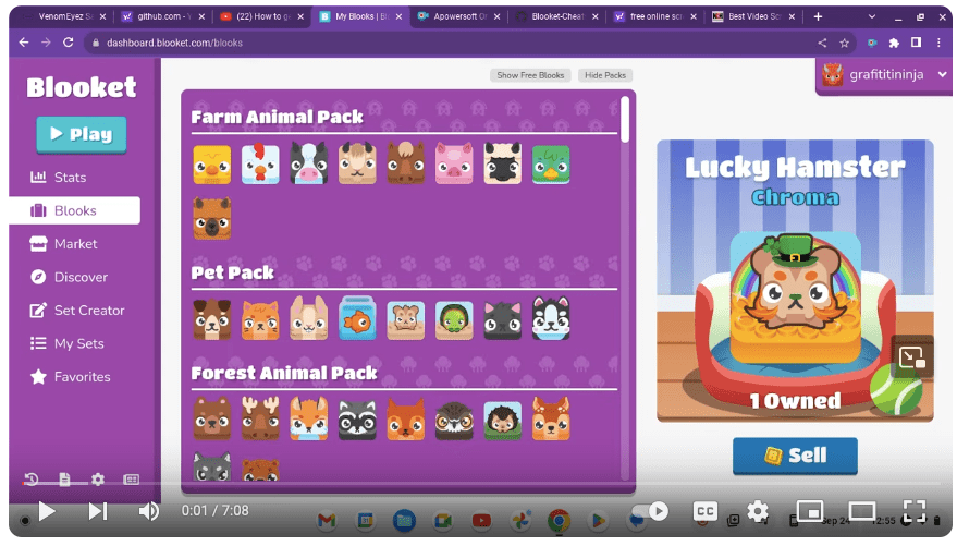 The BEST WAY To Get BLOOKET HACK MENU on School Computer.