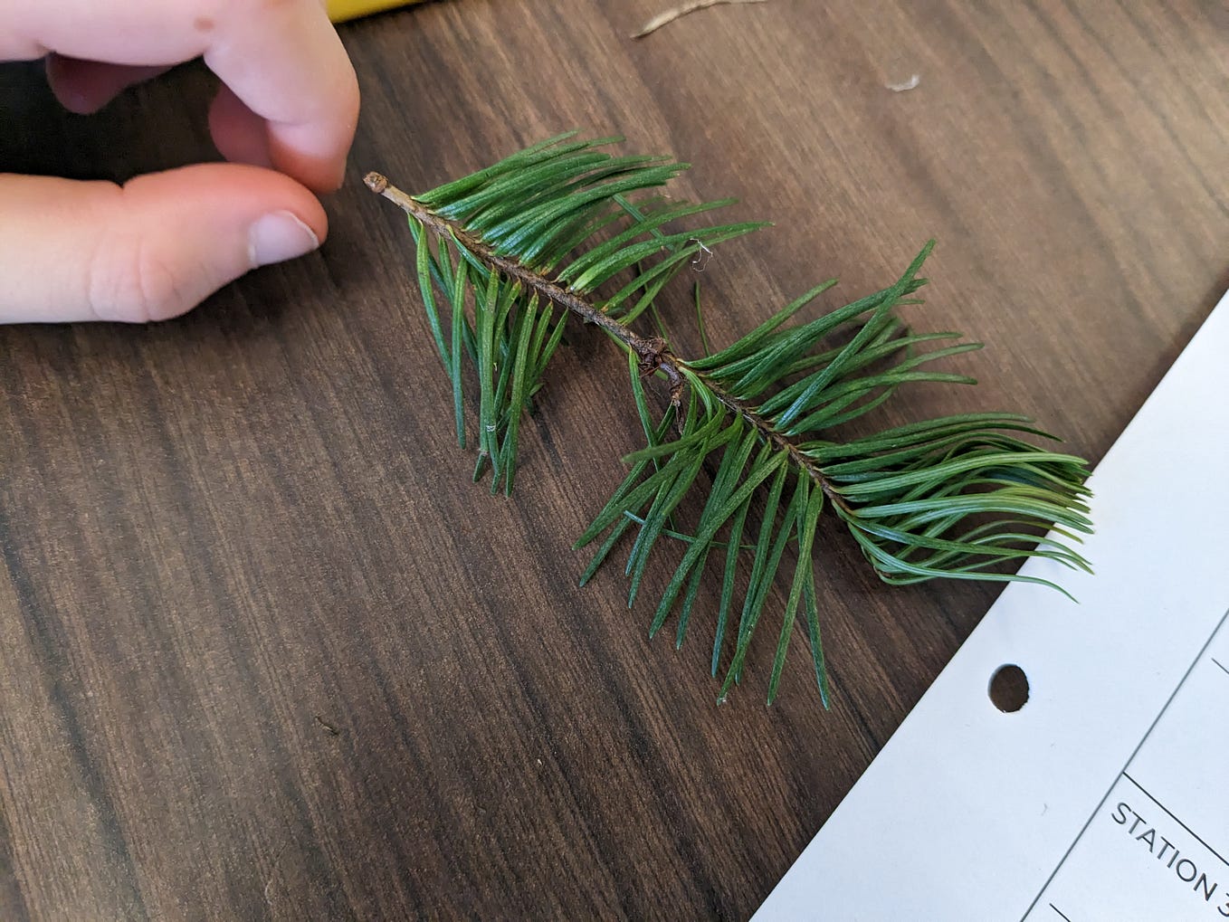 February 7th 2023. Things are humming along ! The winter… by M