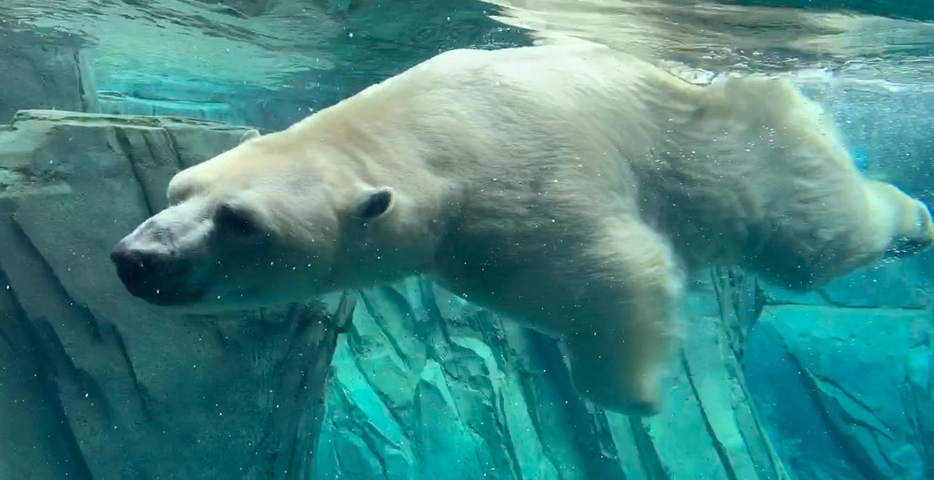 Type 2 slowly changing dimension in with deltars in Python by Jimmy