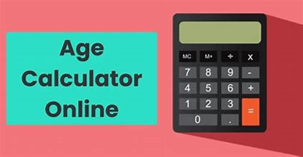 How to Use a BMI Calculator, Your Guide to Understanding and Managing