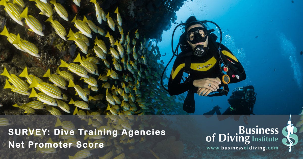 Dive Instructor Salary How much money does a scuba diving instructor