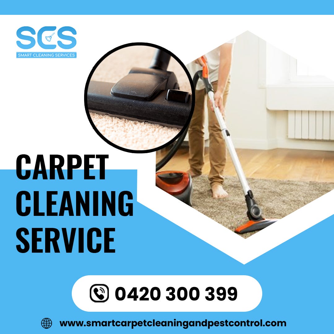 What to Expect When You Hire a Professional Carpet Cleaner in Brisbane