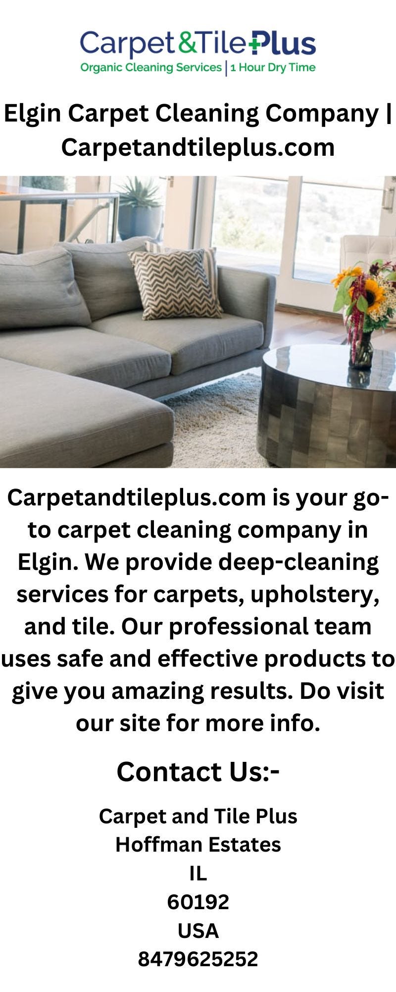 Elgin Carpet Cleaning Company Carpetandtile Medium