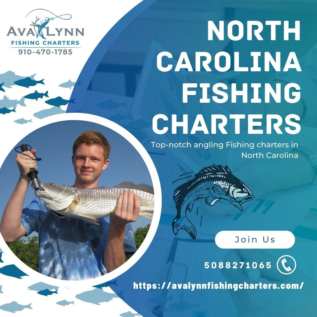 Why is the Gold coast so popular for fishing? by Avalynnfishing Medium