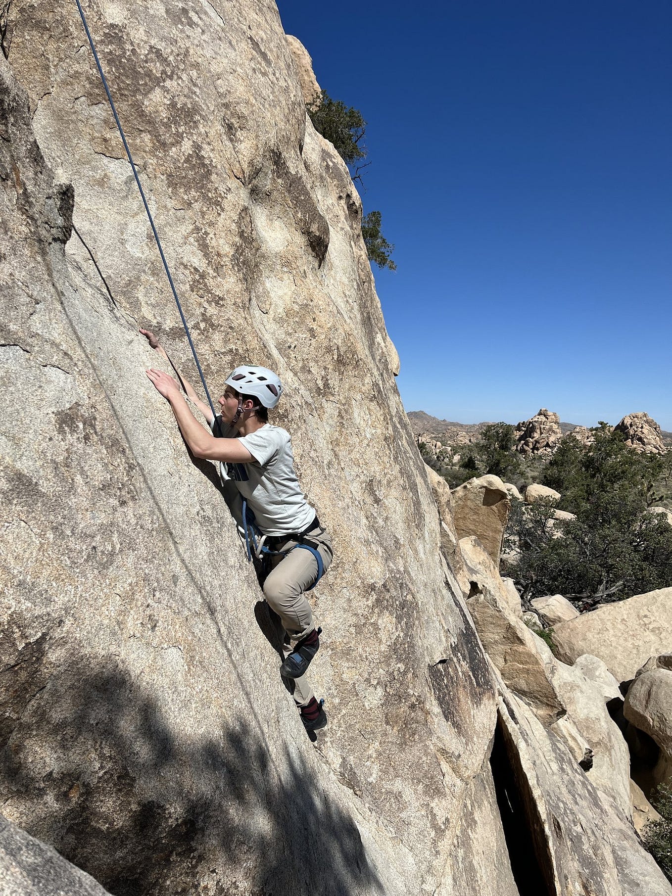 5 Reasons Why Joshua Tree Lizard is the Best Rock Climbing Guide in