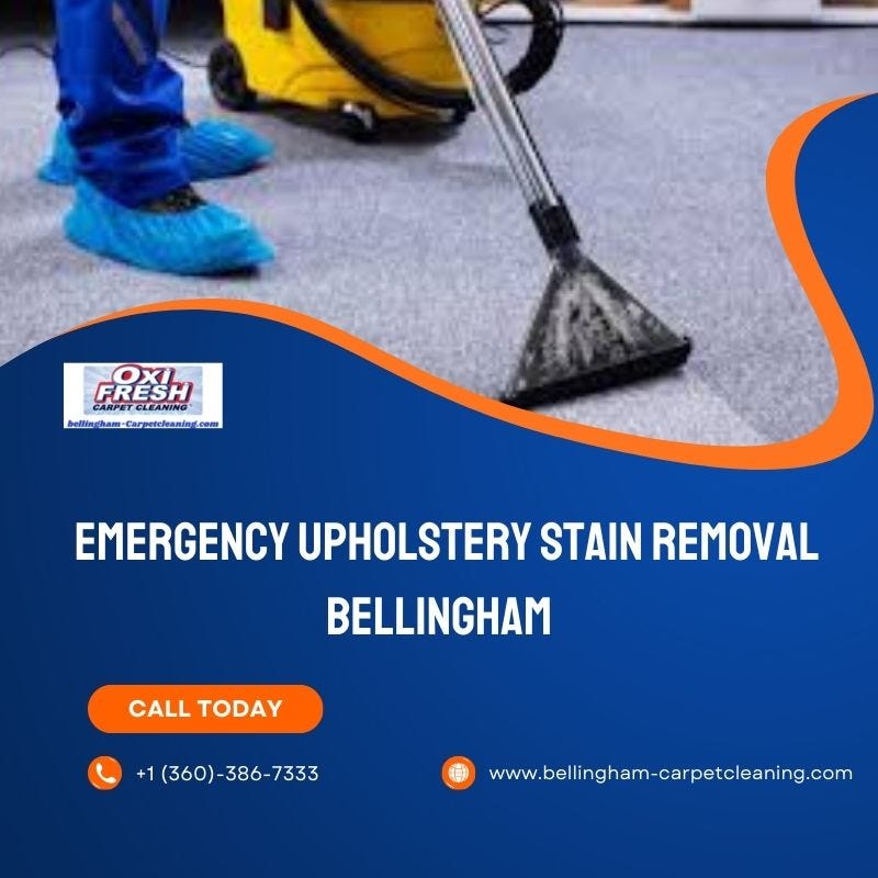 Elevate Your Space Bellingham Carpet Cleaning Masters the Art of Rug