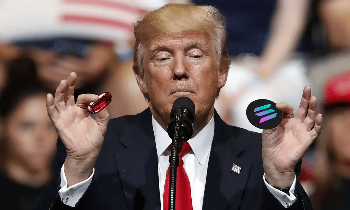 Red Pill Tumbling Down the 2024 Rabbit Hole by Red Pill Medium