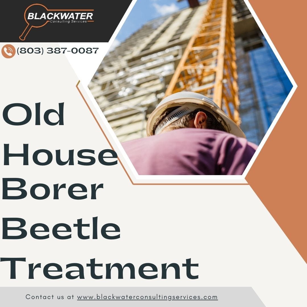 Effective Wood Destroying Fungus Treatment Solutions for Lasting