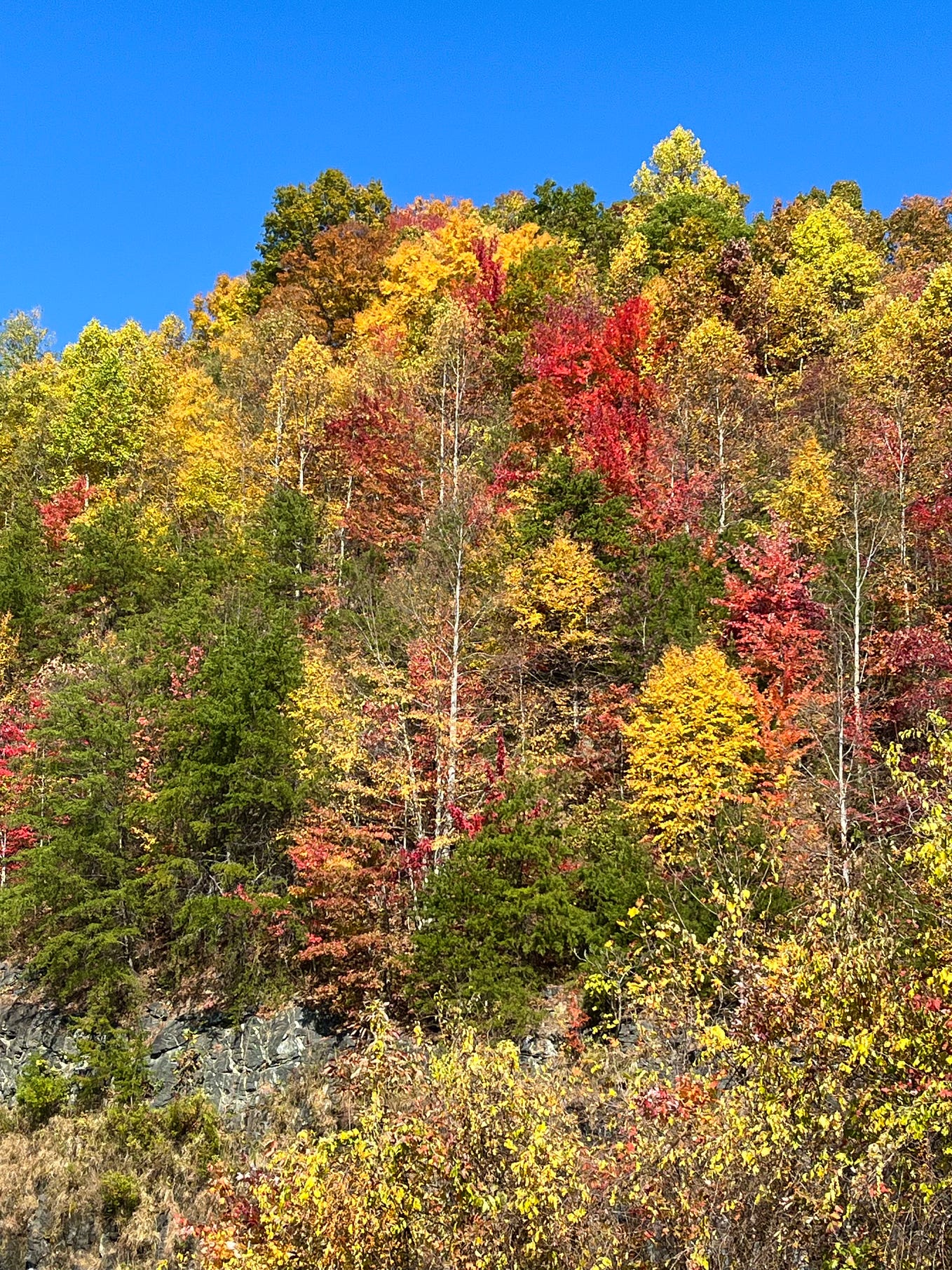 Allowing Myself to Be a Beginner. Letting go of expectation and just