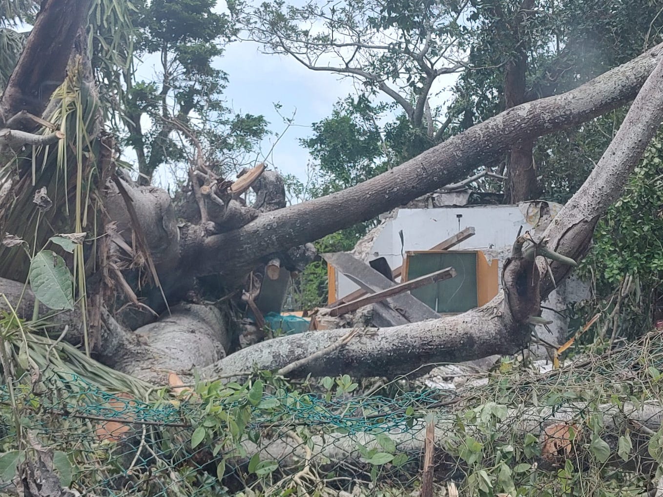 Why You Won’t Catch Me “OnCamera” in Virtual Meetings by Elizabeth