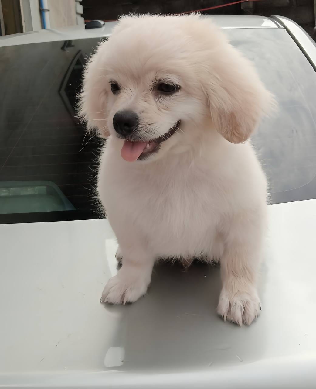 My Husband, My Nurse — A Humorous Story by Melissa Herzog Write A