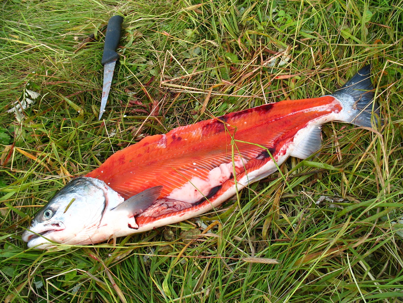 When All Your Life Doesn’t Fit Inside Your Life by Roblin Meeks Sep