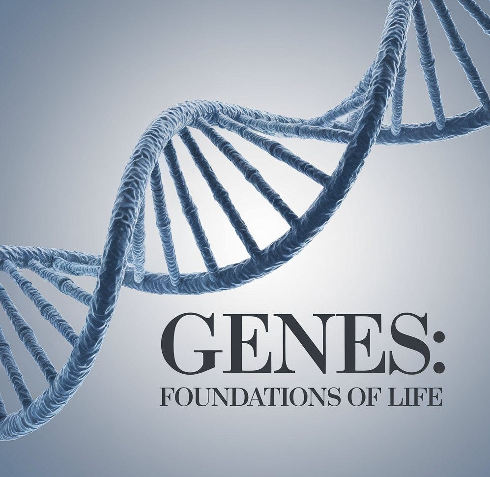 this represent the foundational law Dua ahsan Medium