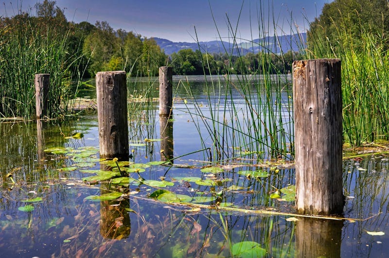 On the Way to the Seminar. My friend said the zero route is not… by