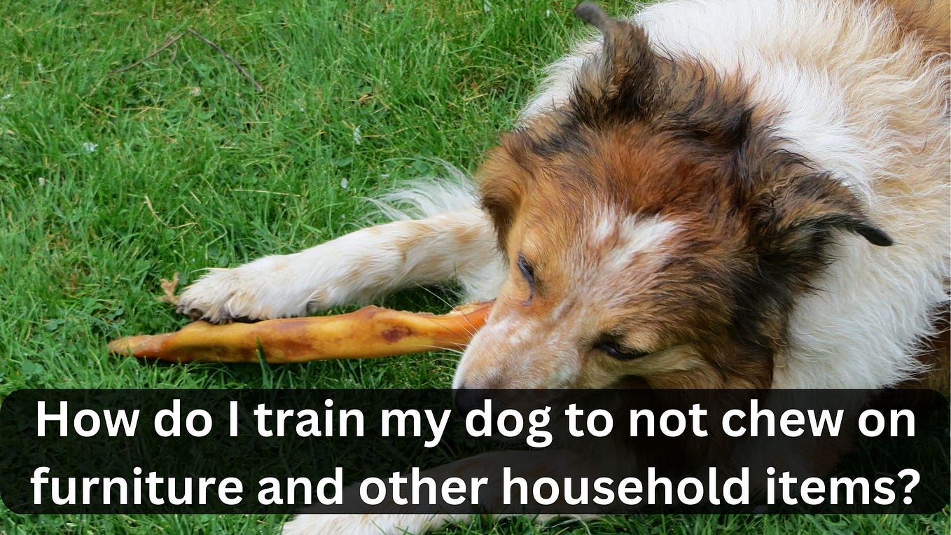 How Do I Train My Dog Not To Chew Furniture