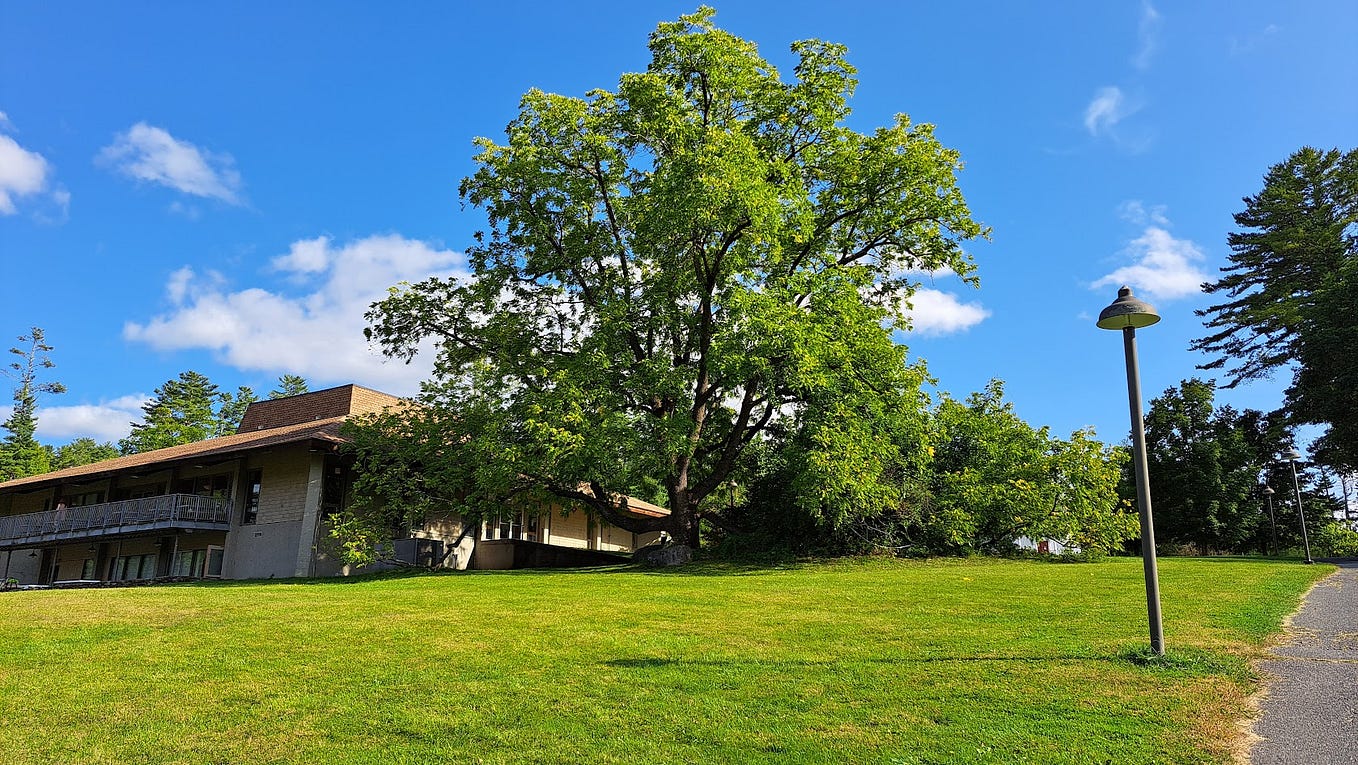 Authentic selfconfidence. ဓလေ့ထုံတမ်း တန်ဖိုးထားပုံချင်းမတူညီတဲ့… by