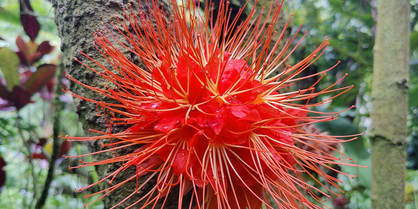 Read & Write Image Metadata with Java — Part 1 by Gunnar Hillert Medium