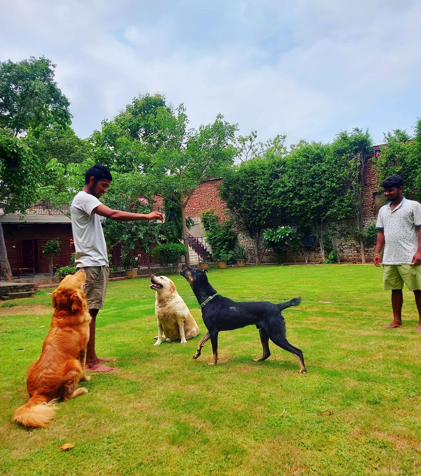 Dog Boarding and daycare centre in Gurgaon — Pet Lovers Hut by