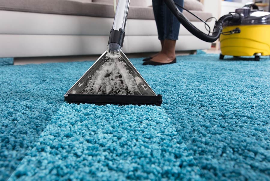 How Long Does Carpet Cleaning Take Olivia Jonash Medium