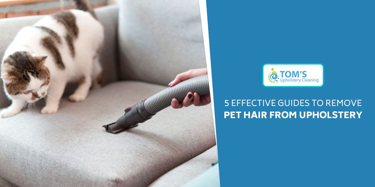 How To Use Baking Soda To Clean Upholstery In The Best Way! by Toms