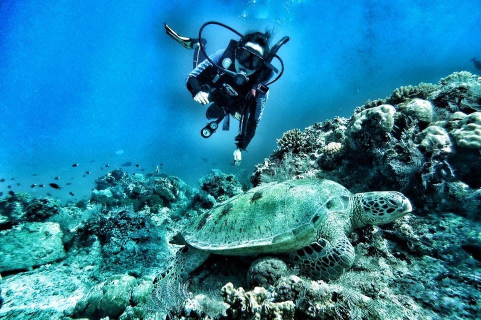 Underwater World Activity Hd