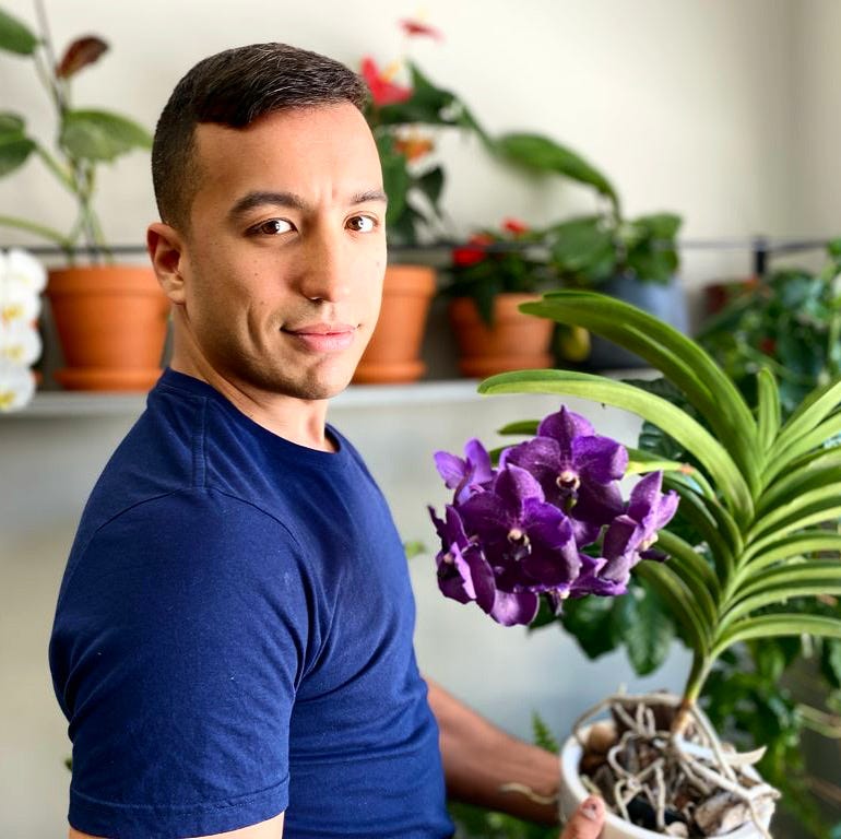 Orchids And Temperature A Detailed Guide For Your Orchids, 45 OFF