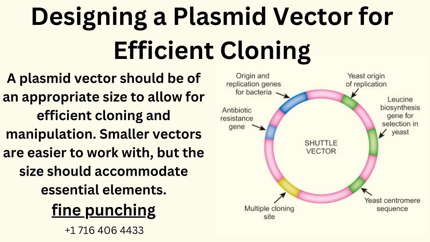 Origin Of Replication Plasmid