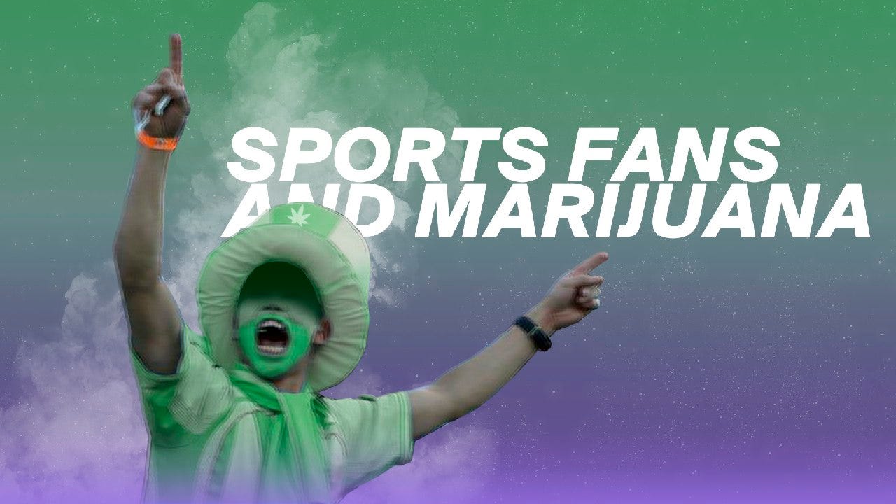 Crazy Sports Fans Paint