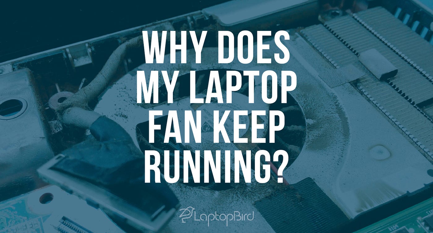 Why Is The Fan Running On My Laptop Factory Sale