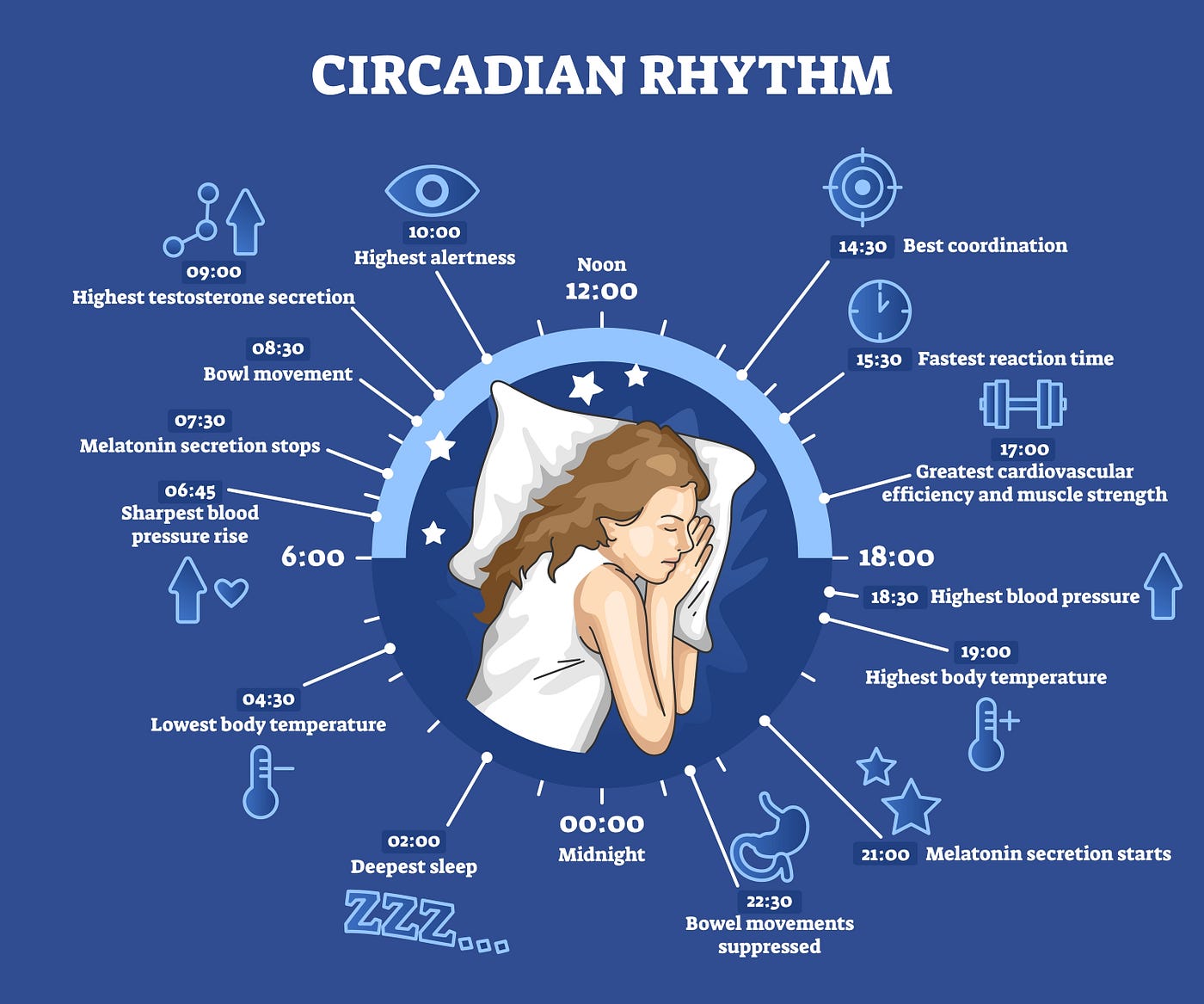 Circadian Rhythms And The Chinese Medicine Body Clock (1/2), 44 OFF