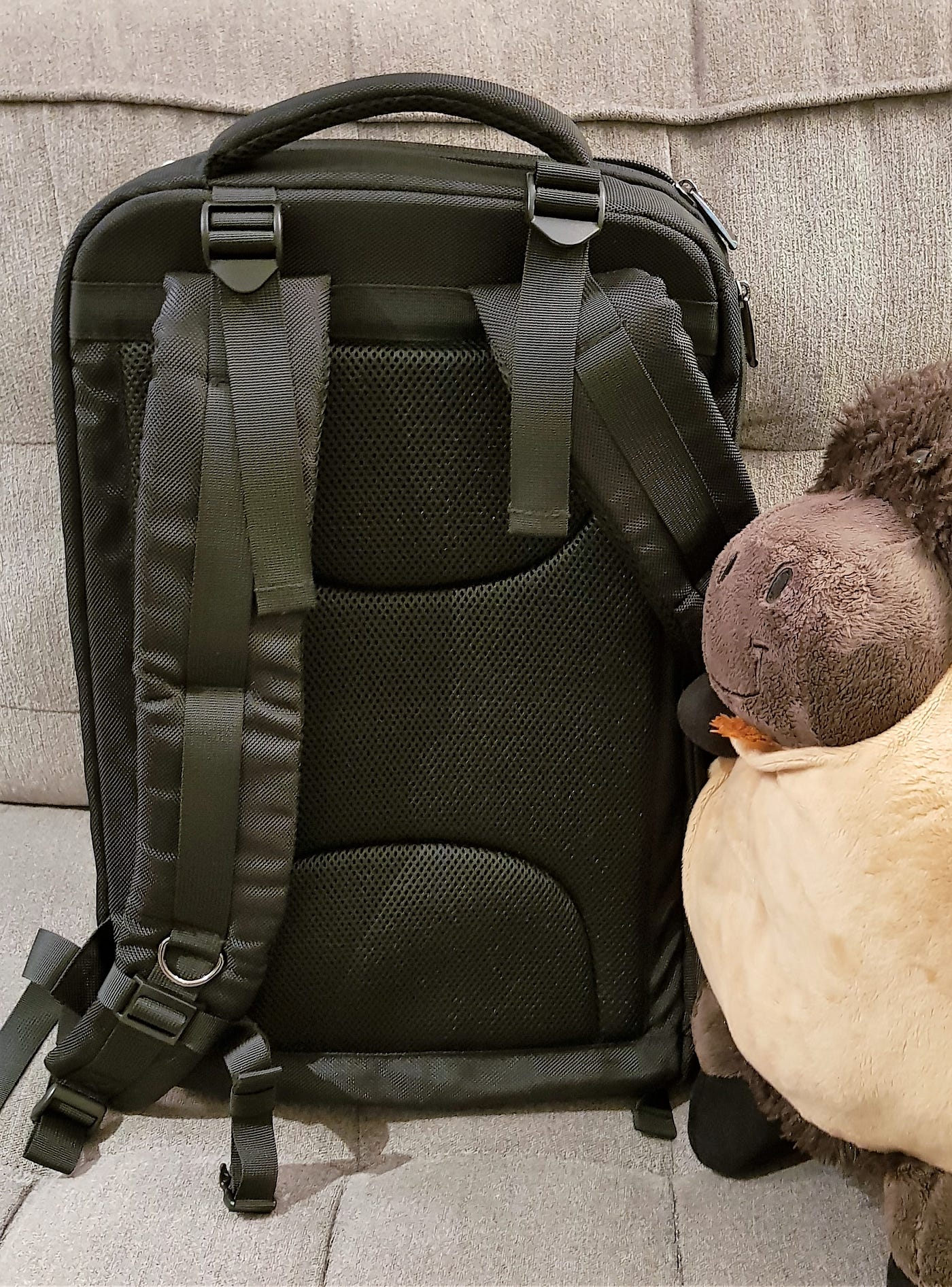 Best Safari Camera Bag And Tips For Your African Photo Safari Tour