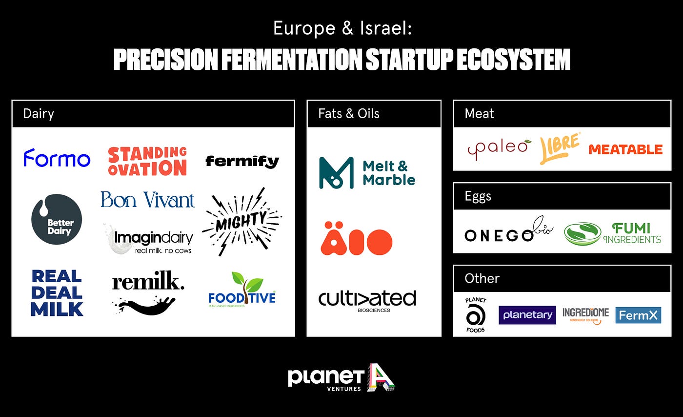 Precision Fermentation simply explained, fermentation