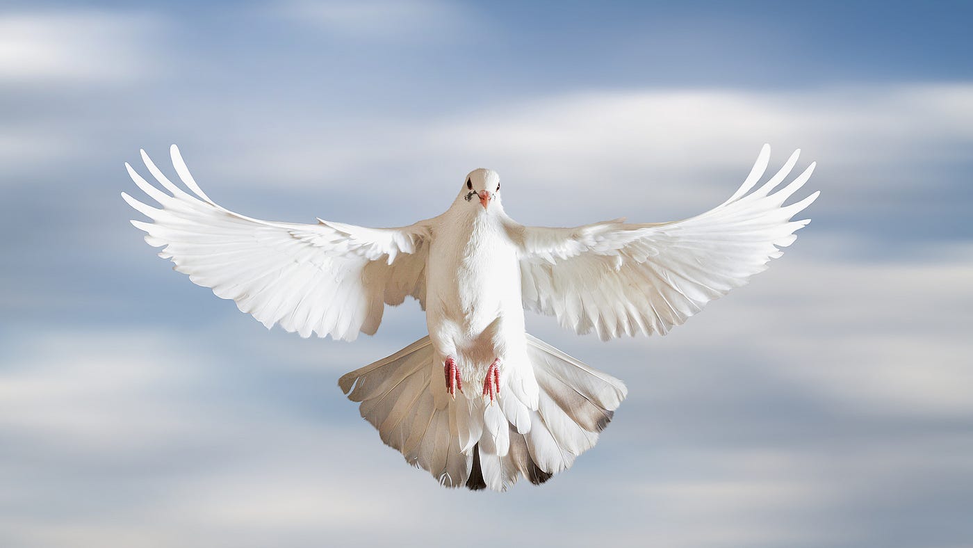 Images Of Christian Doves